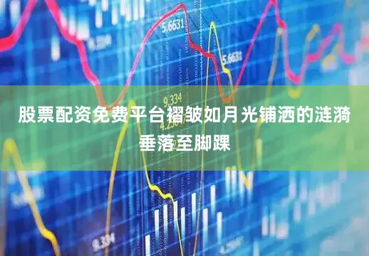 股票配资免费平台褶皱如月光铺洒的涟漪垂落至脚踝