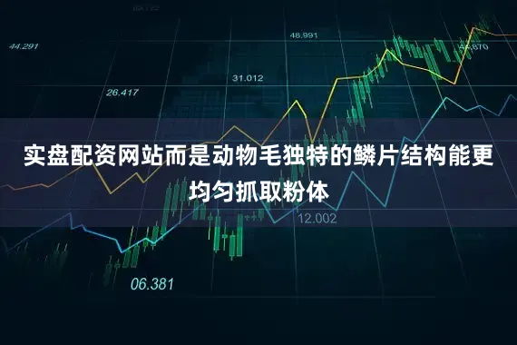 实盘配资网站而是动物毛独特的鳞片结构能更均匀抓取粉体