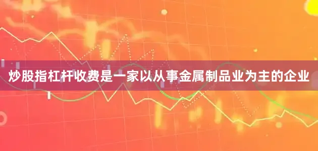 炒股指杠杆收费是一家以从事金属制品业为主的企业