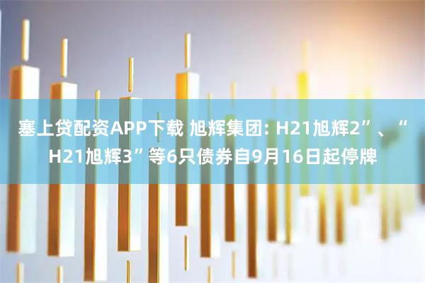 塞上贷配资APP下载 旭辉集团: H21旭辉2”、“H21旭辉3”等6只债券自9月16日起停牌